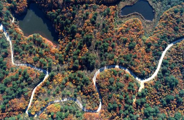 Yalova Ormanlarında Sonbahar Güzelliği
