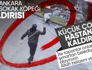 Ankara’da başıboş sokak köpekleri tekrar çocuklara saldırdı