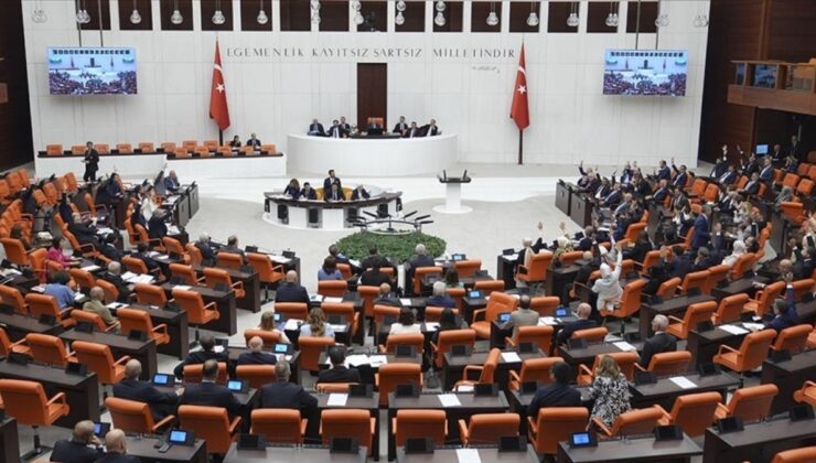 Sahipsiz hayvanlara yönelik kanun teklifinin birinci 5 unsuru kabul edildi