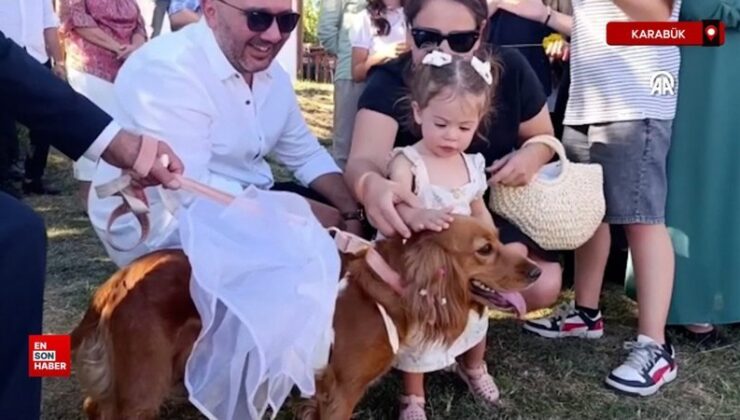 Karabük’te düğününde, sahiplendiği köpeğine de gelinlik giydirdi