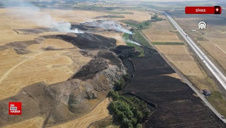 Sivas’ta yangın: 40 dönümlük buğday tarlası ziyan gördü