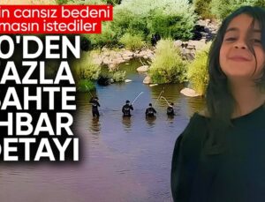Narin cinayetinde şok ayrıntı: Akrabaları 50 geçersiz ihbar vermiş