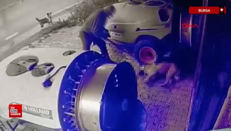 Bursa’da sokak köpeğini sopayla öldürdü