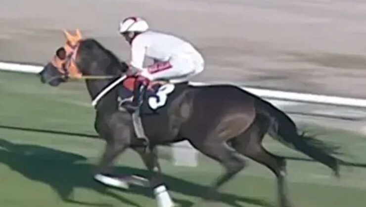 Mersin’de kavurma yapılan at, İngiliz gazetelerine manşet oldu