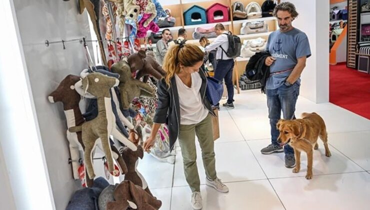 Mart ayının artırım şampiyonu: Evcil hayvan eserleri