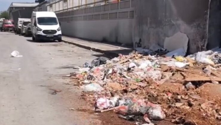 Buca’da toplanmayan çöpler vatandaşı isyan ettirdi