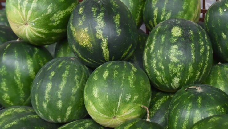 İstanbullular mayısta en fazla karpuz ve domates yedi