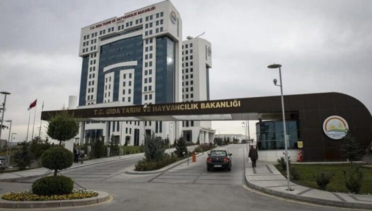 Tarım ve Orman Bakanlığı’ndan içeriğinde ormangülü bulunan eserlere ait karşı ikaz