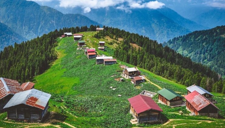 Likya ve Karadeniz cinslerine talep yüzde 40 arttı